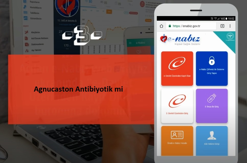 Agnucaston Antibiyotik mi